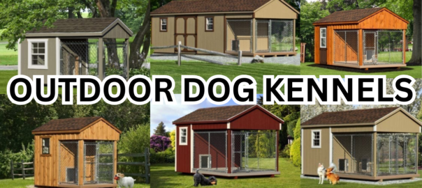Outdoor Dog Kennels: Durable Amish-Built Kennels for Your Backyard Escape